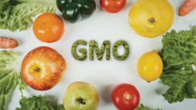 GMO