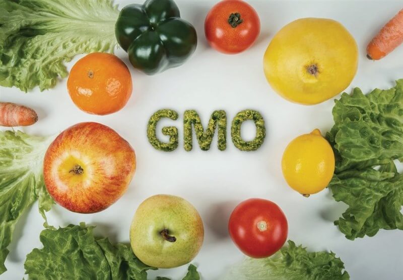 GMO